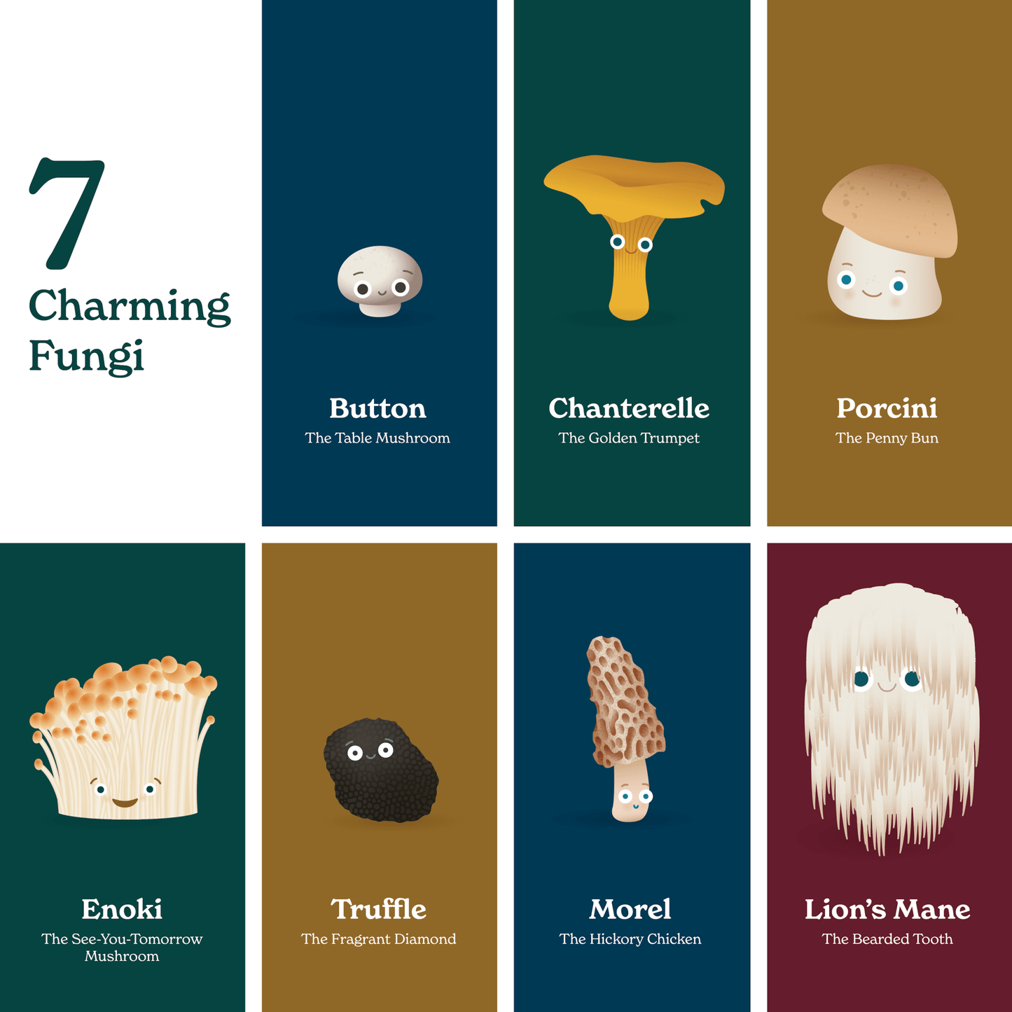 Chunky Deli product image: Grid layout showcasing the seven different mushrooms featured in "Little Book of Fungi." Each illustration is shown with the character and name on its corresponding page color, all outlined and arranged on a white background.