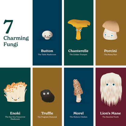 Chunky Deli product image: Grid layout showcasing the seven different mushrooms featured in "Little Book of Fungi." Each illustration is shown with the character and name on its corresponding page color, all outlined and arranged on a white background.