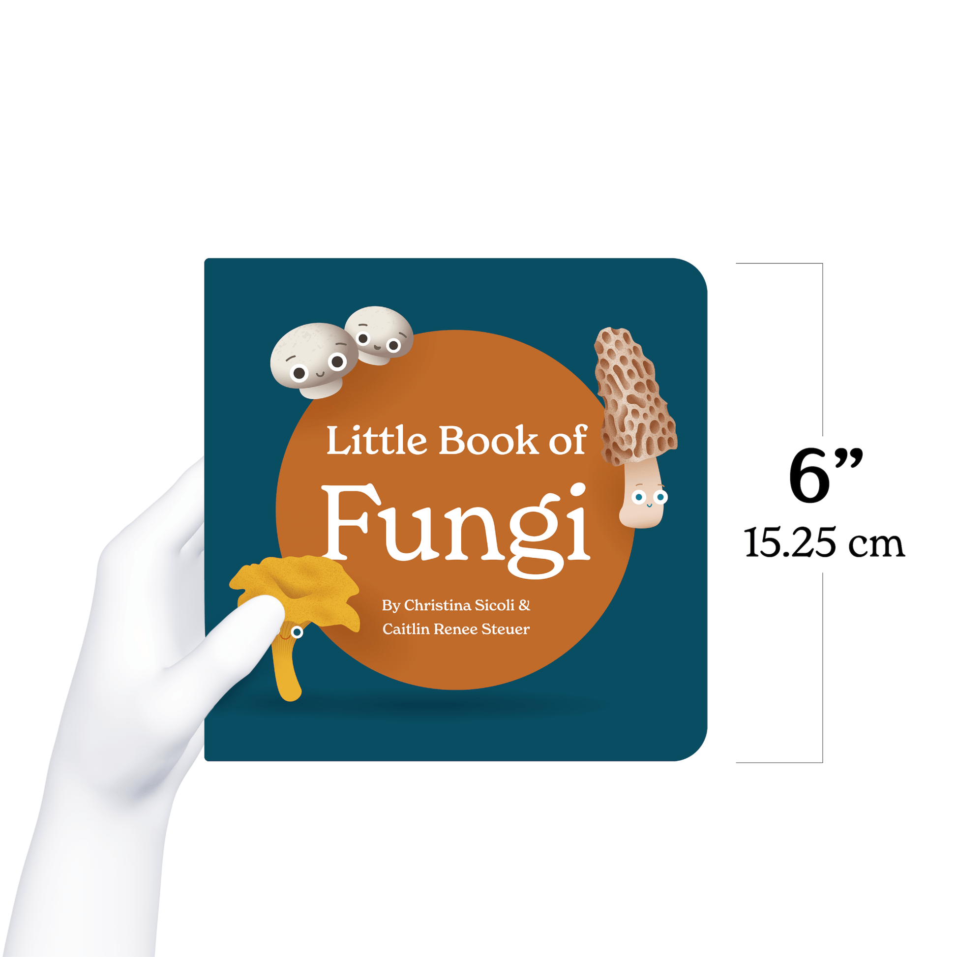 Chunky Deli product image: Hand holding "Little Book of Fungi" to demonstrate its 6x6 inch size. The cover features illustrations of button, morel, and chanterelle mushrooms.