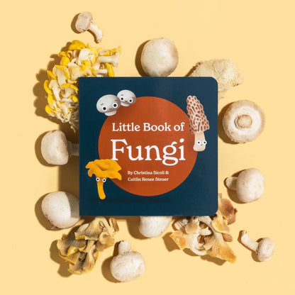 Chunky Deli product image: "Little Book of Fungi" cover displayed on a bed of assorted mushrooms, all on a light orange background.