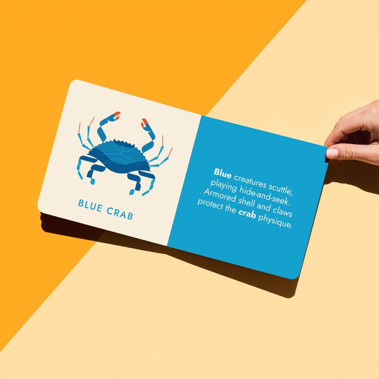 Open "Seafood Rainbow" board book displaying a crab illustration on a blue page, with a hand reaching in against a yellow background. Product display by Chunky Deli.