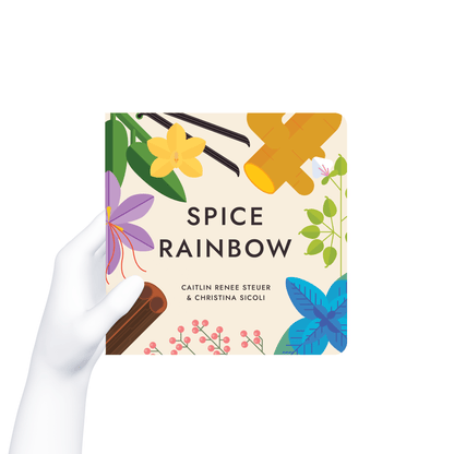 Hand holding the "Spice Rainbow" board book to demonstrate its approximate 6-inch size against a white background. Chunky Deli product photo.