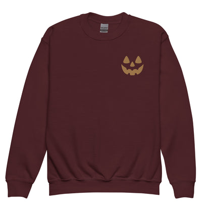 Pumkin Smile - Embroidered Pullover